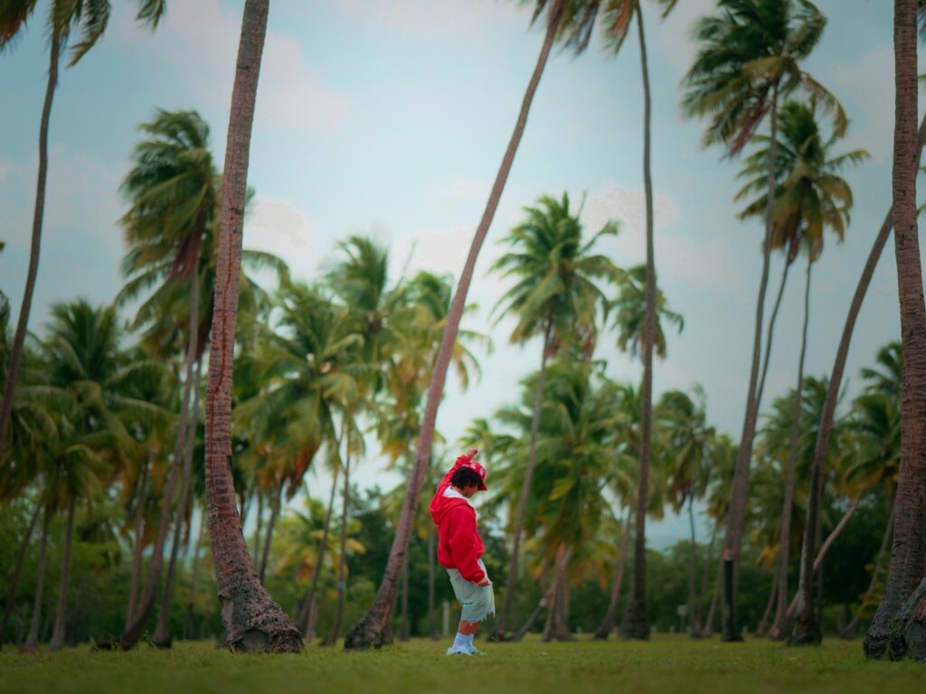 Still 2025 08 12 191126 7.50.1 1024x768